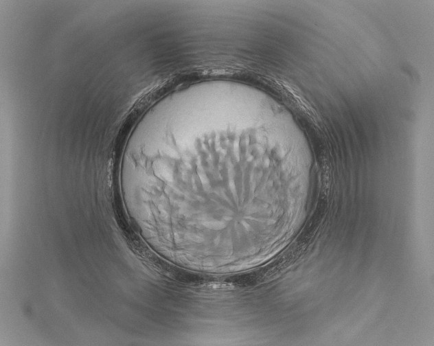 X0000115170543200911181408