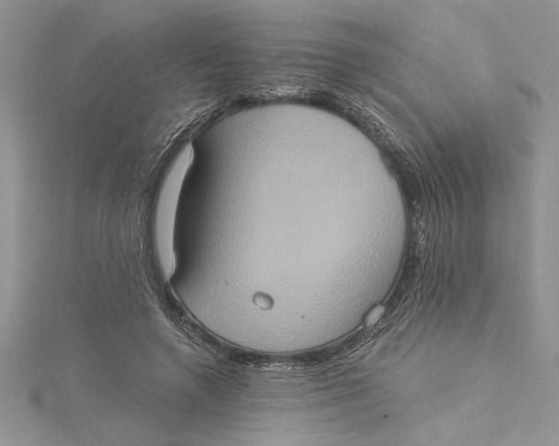 X0000115170546200911181408