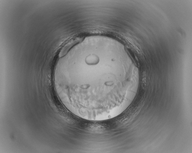 X0000115170547200911181408