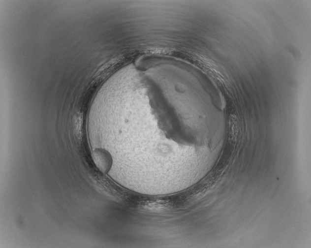 X0000115170550200911181408