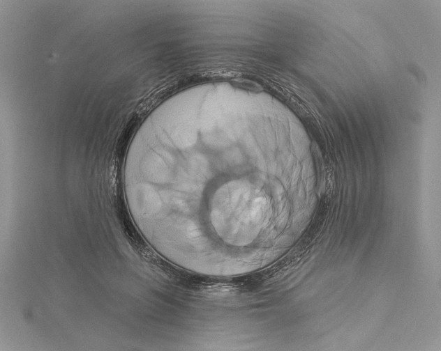 X0000115170551200911181408