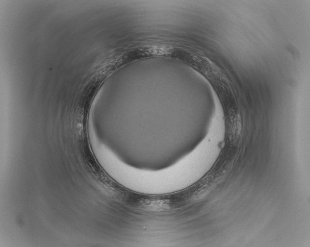 X0000115170553200911181408