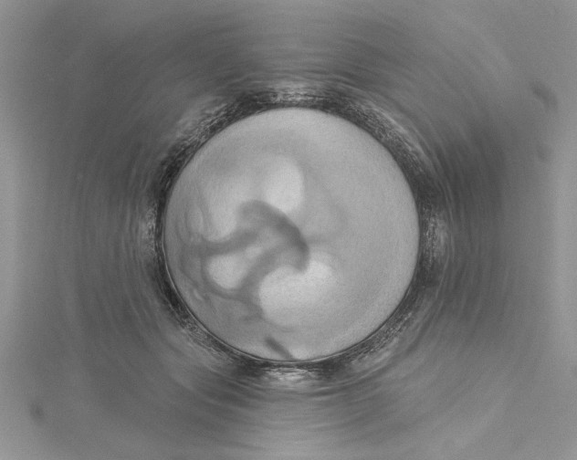 X0000115170557200911181408