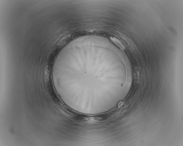 X0000115170558200911181408