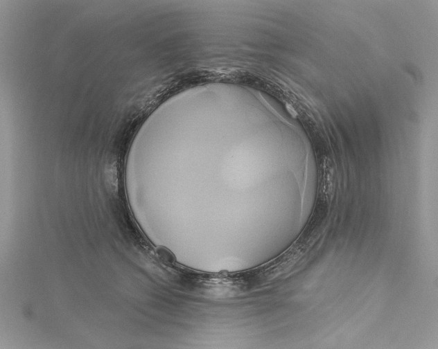 X0000115170562200911181408