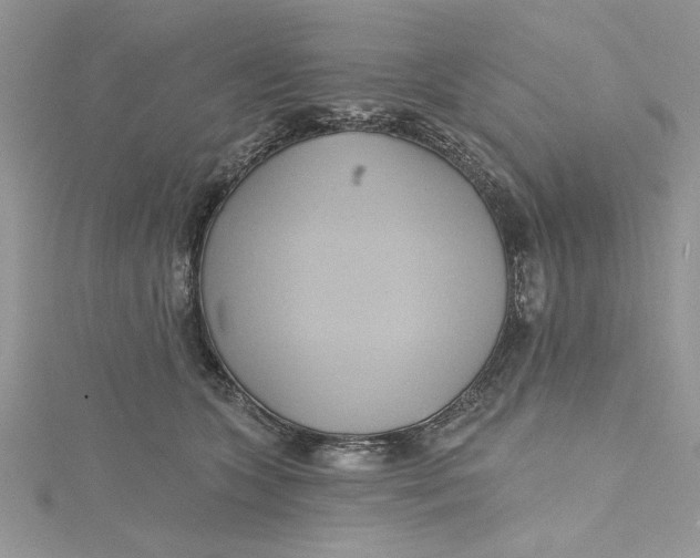 X0000115170563200911181408