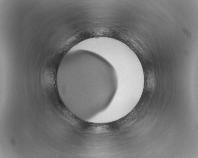 X0000115170569200911181408