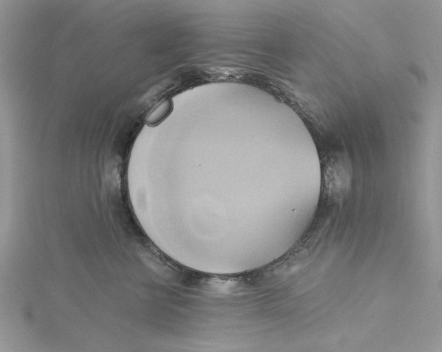 X0000115170570200911181408