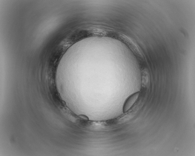 X0000115170573200911181408