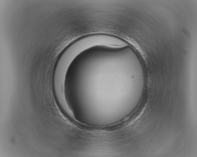 X0000115170577200911181407