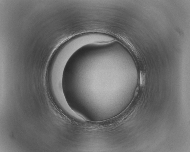 X0000115170579200911181407