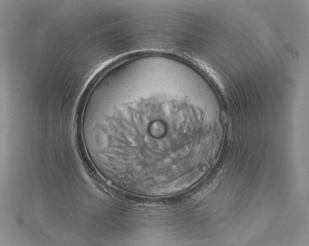 X0000115170580200911181407