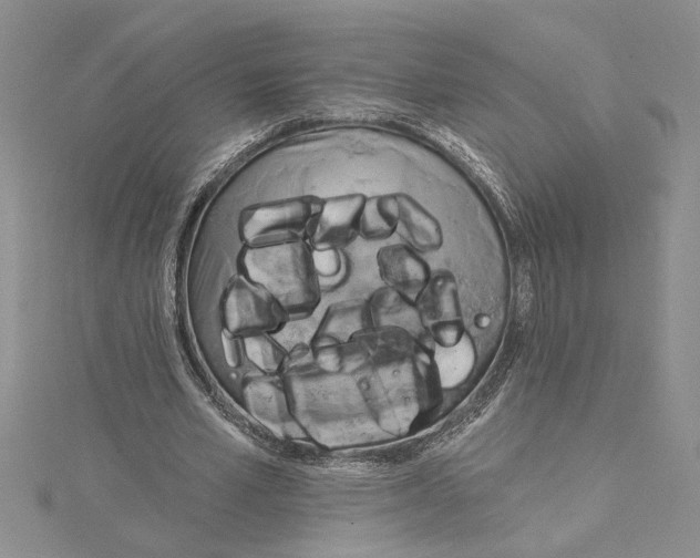 X0000115170581200911181407