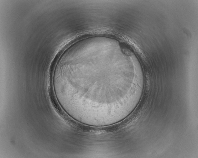 X0000115170582200911181407