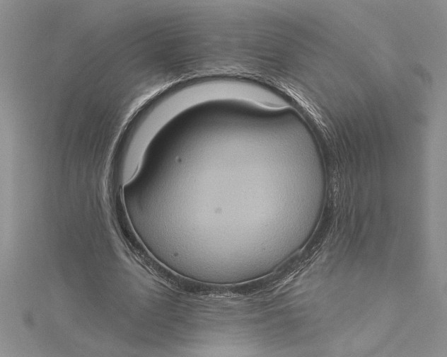 X0000115170583200911181407