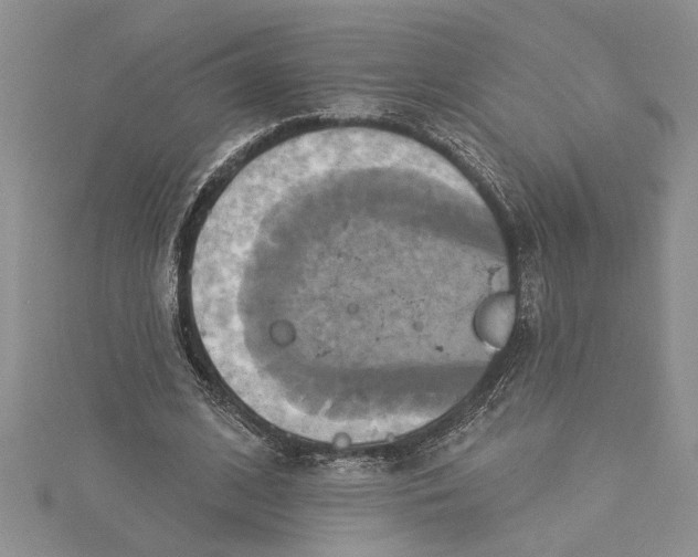 X0000115170584200911181407