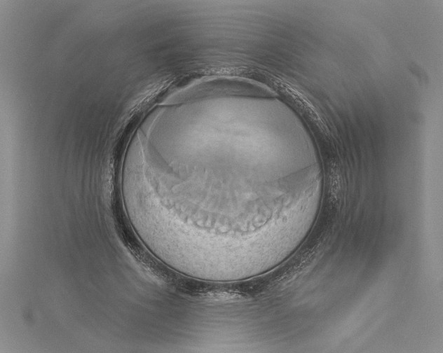 X0000115170586200911181407