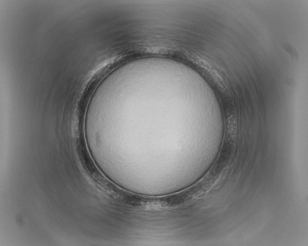 X0000115170587200911181407