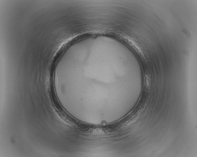 X0000115170588200911181407