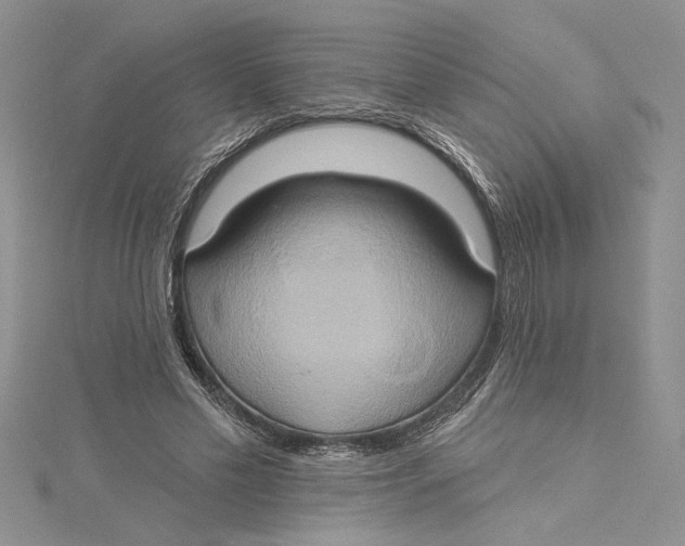 X0000115170589200911181407