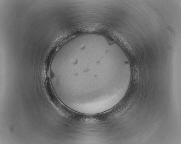 X0000115170590200911181407