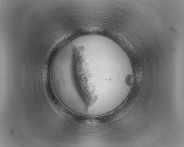 X0000115170591200911181407