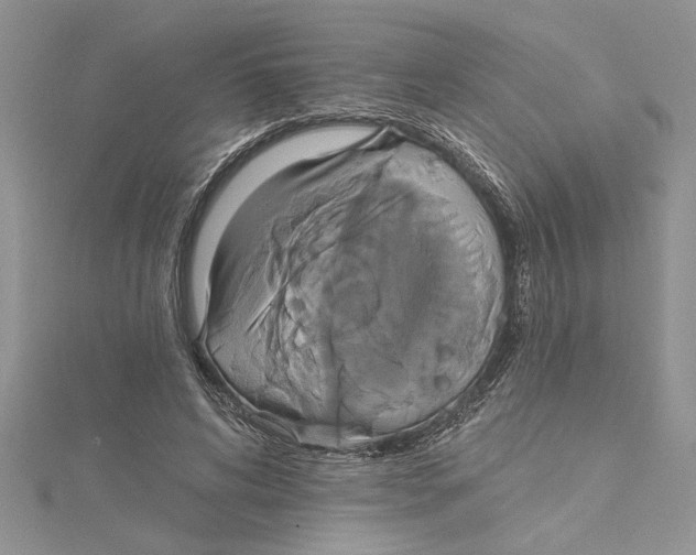 X0000115170592200911181407