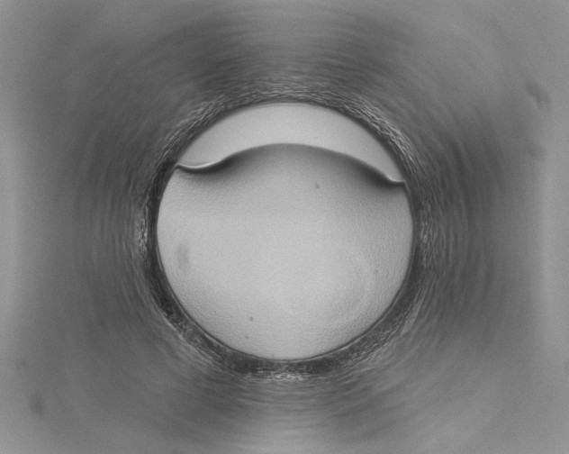 X0000115170593200911181407