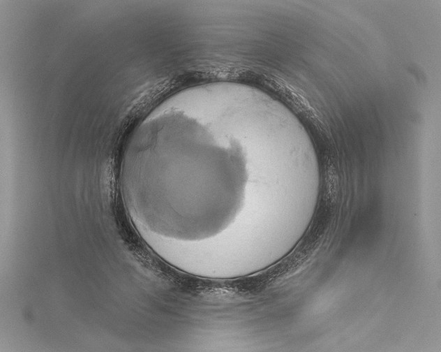 X0000115170594200911181407