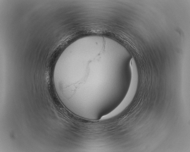 X0000115170595200911181407