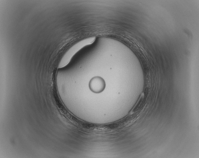 X0000115170599200911181407