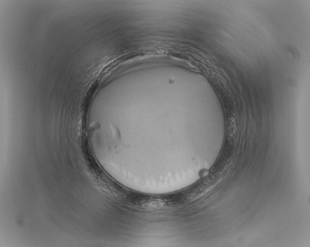 X0000115170600200911181407