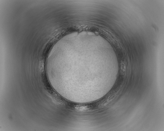 X0000115170602200911181407