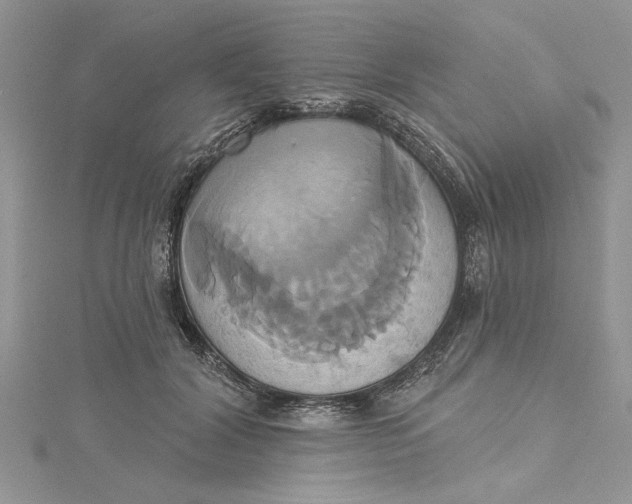 X0000115170604200911181407