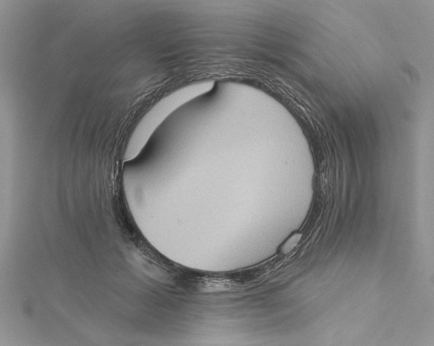 X0000115170605200911181407