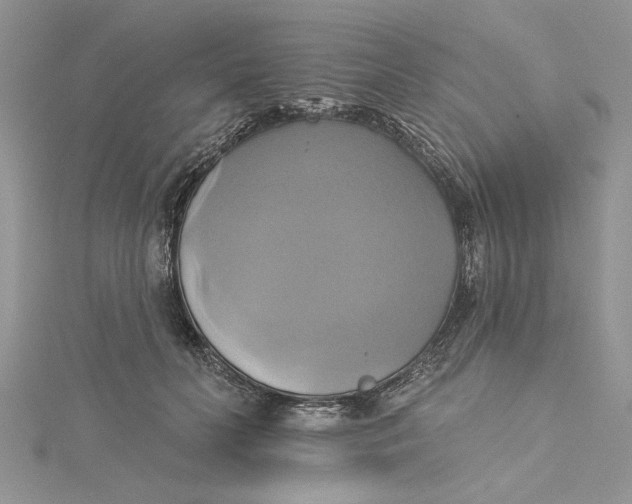 X0000115170606200911181407