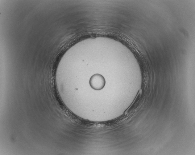 X0000115170609200911181407