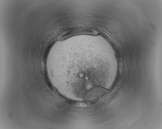 X0000115170613200911181407