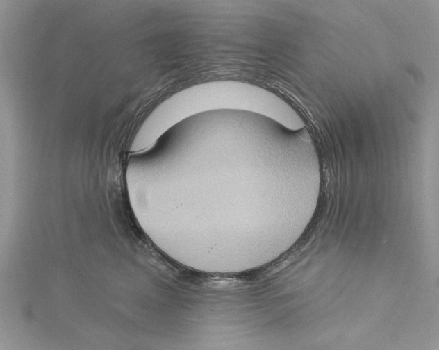 X0000115170617200911181407