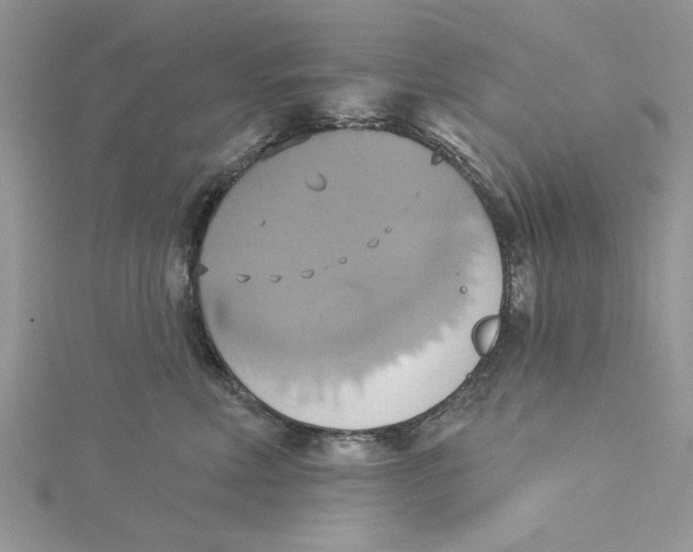 X0000115170618200911181407