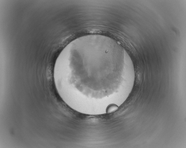 X0000115170620200911181407