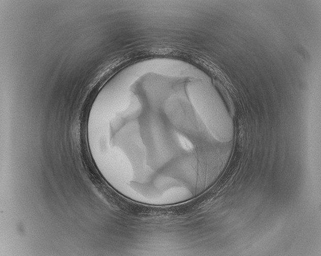 X0000115170626200911181406