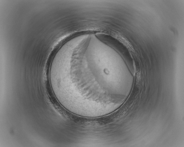 X0000115170628200911181406