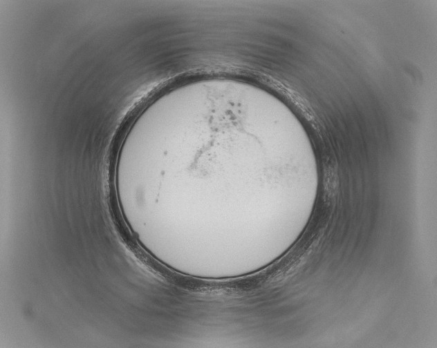 X0000115170629200911181406