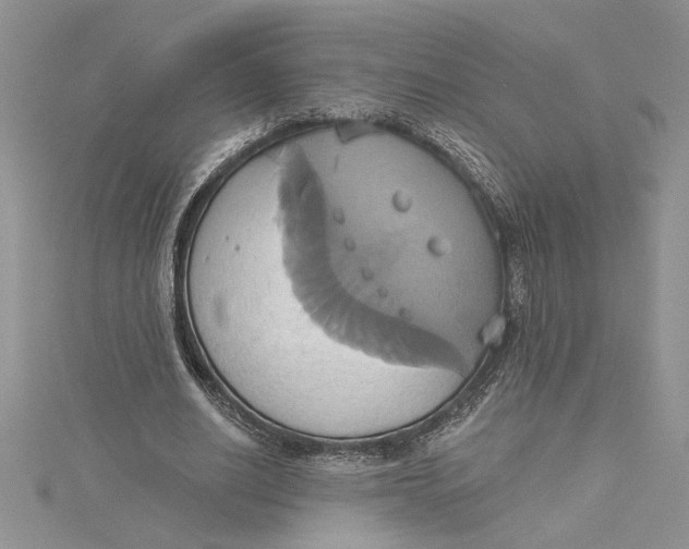 X0000115170630200911181406