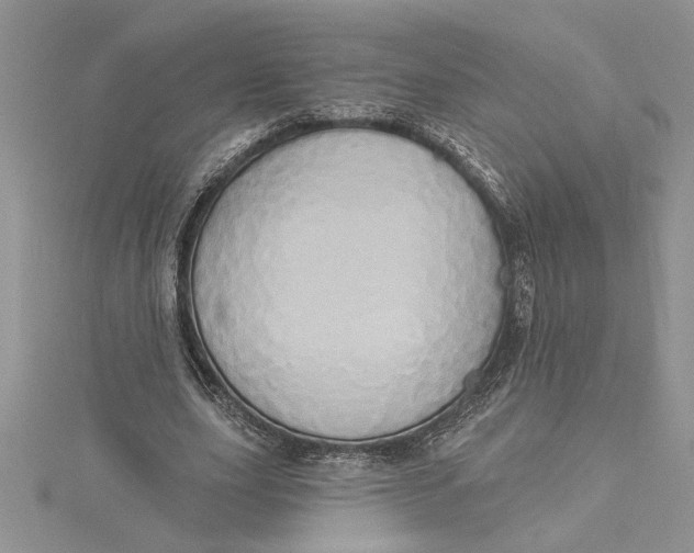 X0000115170631200911181406