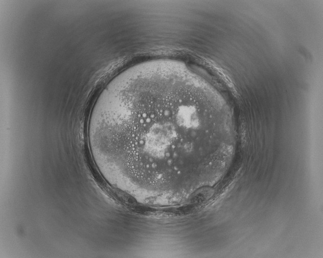 X0000115170633200911181406