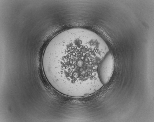 X0000115170635200911181406