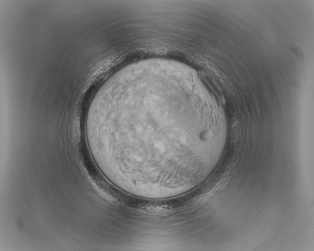 X0000115170638200911181406