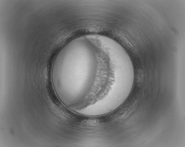 X0000115170639200911181406